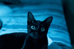 img_2775_34205784553_o