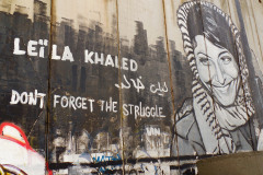 F11_Laila_kaled_8620_-_Rec709