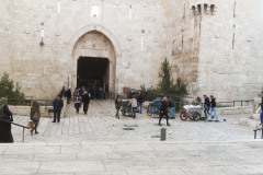 F21.1damasco_gate_8620_-_Rec709