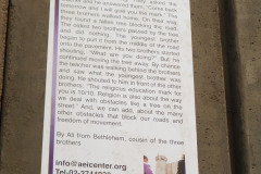 F6_arvores_bloqueiam_a_rua_street_8620_-_Rec709